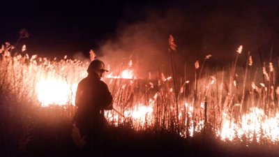 На Черкащині сталася 21 пожежа, з них 15 — в екосистемах На Черкащині сталася 21 пожежа, з них 15 — в екосистемах