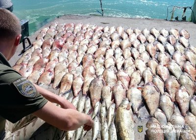 На Полтавщині двоє чоловіків незаконно виловили 175 кілограмів риби: що їм загрожує На Полтавщині двоє чоловіків незаконно виловили 175 кілограмів риби: що їм загрожує