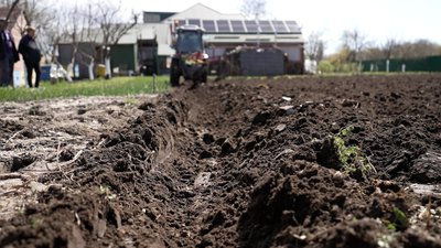 Посадити картоплю на Чернігівщині трактором: скільки коштує Посадити картоплю на Чернігівщині трактором: скільки коштує