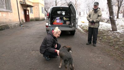 Безпритульні тварини: подружжя з Чернігова щодня годує 35 собак Безпритульні тварини: подружжя з Чернігова щодня годує 35 собак