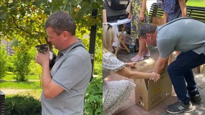 "Кішка народила в окопі": черкащани можуть прихистити кошеня
