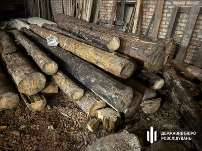 Збитки на майже мільйон гривень: на Рівненщині в незаконній порубці дерев підозрюють майстра лісу Збитки на майже мільйон гривень: на Рівненщині в незаконній порубці дерев підозрюють майстра лісу