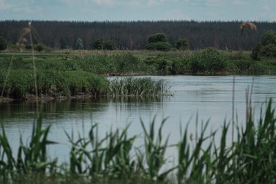 Печенізьке водосховище, 5 червня 2026 року Печенізьке водосховище, 5 червня 2026 року