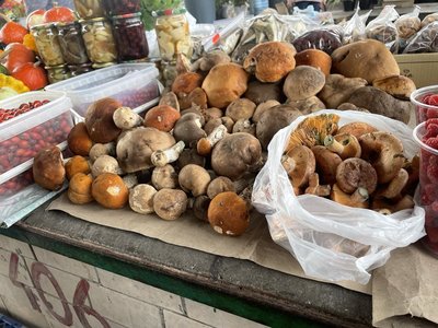 Різноманітні свіжі лісові гриби на ринку, зокрема білі гриби (боровики), підосичники та руді рижики Різноманітні свіжі лісові гриби на ринку, зокрема білі гриби (боровики), підосичники та руді рижики
