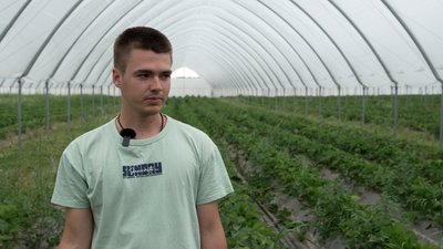Має бути запашною, яскраво-червоного кольору та з зеленим хвостиком: як обрати смачну полуницю Має бути запашною, яскраво-червоного кольору та з зеленим хвостиком: як обрати смачну полуницю