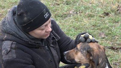 Допомагала у порятунку людей: історія собаки, яка пережила пожежу в притулку на Житомирщині Допомагала у порятунку людей: історія собаки, яка пережила пожежу в притулку на Житомирщині