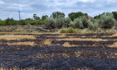 Черкащанину загрожує штраф до шести тисяч гривень
