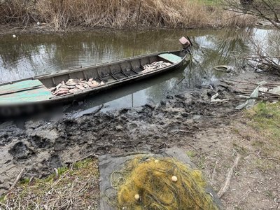 На Одещині браконьєр наловив риби на понад 600 тисяч гривень