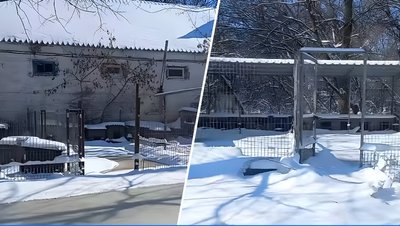 У Кропивницькому учні Кущівської гімназії зібрали допомогу для притулку "БІМ" У Кропивницькому учні Кущівської гімназії зібрали допомогу для притулку "БІМ"