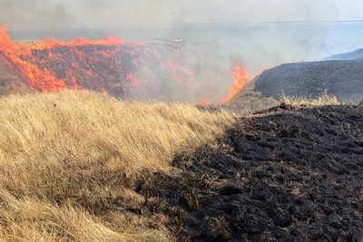 Пожежа сухої трави у Куцурубській громаді на Миколаївщині через атаку РФ, 6 серпня 2025 року Пожежа сухої трави у Куцурубській громаді на Миколаївщині через атаку РФ, 6 серпня 2025 року