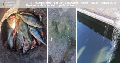 Риба, незаконно виловлена біля села Артільного, 23 вересня 2025 Риба, незаконно виловлена біля села Артільного, 23 вересня 2025