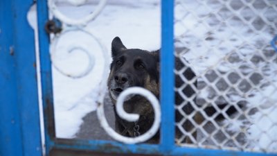"Тут сім чоловік залишилося". Як живуть в селі Отрішки на Дніпропетровщині, де оголосили примусову евакуацію населення "Тут сім чоловік залишилося". Як живуть в селі Отрішки на Дніпропетровщині, де оголосили примусову евакуацію населення