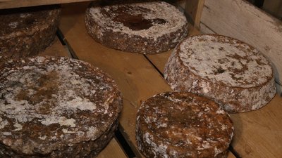 Сироварня, Хороцеве, Гуцульщина, Бечко Сироварня, Хороцеве, Гуцульщина, Бечко
