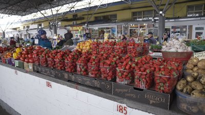 Полуничний сезон у Вінниці: ціни стартують від 180 гривень за кілограм Полуничний сезон у Вінниці: ціни стартують від 180 гривень за кілограм