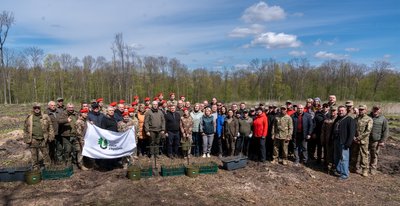 висадка лісів, учасники висадки