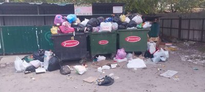 Щури та сміття у дворах: у Севастополі кілька днів не працюють сміттєвози Щури та сміття у дворах: у Севастополі кілька днів не працюють сміттєвози