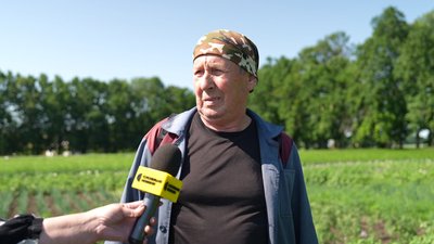 "Збір зерна буде меншим": чи буде Сумщина з урожаєм