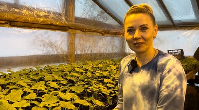 Волонтерки із Рівненщини допомагають вирощувати розсаду, аби відпочити від буденних справ Волонтерки із Рівненщини допомагають вирощувати розсаду, аби відпочити від буденних справ