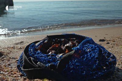 Від моря до берега: як в Одесі виловлюють та очищують мідії Від моря до берега: як в Одесі виловлюють та очищують мідії