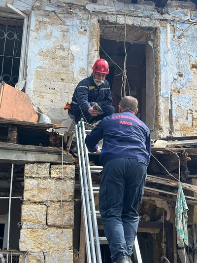 В Одесі під завалами будинку після обстрілу знайшли домашню черепаху В Одесі під завалами будинку після обстрілу знайшли домашню черепаху