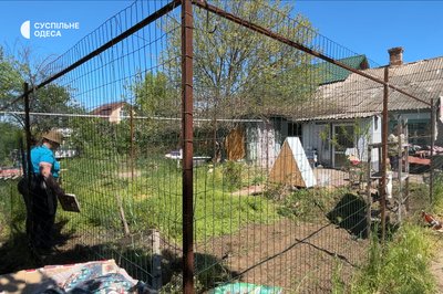 Сидять закриті через небезпеку: волонтерка з Одещини будує вольєр для понад ста безпритульних котів Сидять закриті через небезпеку: волонтерка з Одещини будує вольєр для понад ста безпритульних котів