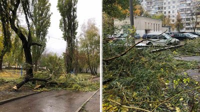 Негода на Житомирщині Негода на Житомирщині