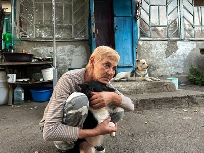 "У Межовій до тисячі покинутих тварин": як зооволонтерка допомагає покинутим тваринам прифронтової Межової