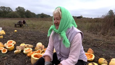 "Дуже страшно — дрон летить, ми вибираємо": як в Архипівці на Чернігівщині під обстрілами збирають гарбузове насіння "Дуже страшно — дрон летить, ми вибираємо": як в Архипівці на Чернігівщині під обстрілами збирають гарбузове насіння