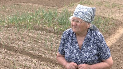 Анна Конишак Анна Конишак