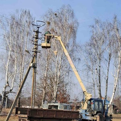 "Лелекам — дім, а людям — безпека": на Рівненщині енергетики облаштували безпечні гнізда для птахів "Лелекам — дім, а людям — безпека": на Рівненщині енергетики облаштували безпечні гнізда для птахів