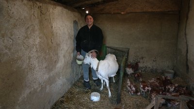 Андрій тримає на господарстві курей та кіз Андрій тримає на господарстві курей та кіз