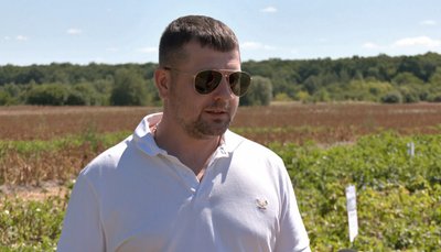 «Пріска», «Белана», «Філіпа»: які елітні сорти картоплі презентували під час «Дня поля» на Волині