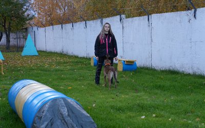 "Характер рятівниці": вівчарка Зої допомагатиме черкаським рятувальникам шукати людей під завалами "Характер рятівниці": вівчарка Зої допомагатиме черкаським рятувальникам шукати людей під завалами