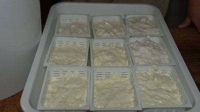 Сир, кози, біодинамічна ферма, Мирослава Волощук, Івано-Франківщина Сир, кози, біодинамічна ферма, Мирослава Волощук, Івано-Франківщина