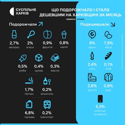 Що подорожчало та подешевшало на Харківщині у липні - інфографіка Що подорожчало та подешевшало на Харківщині у липні - інфографіка