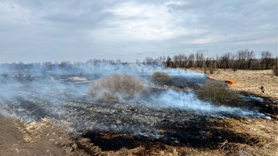 На Черкащині горів сухостій На Черкащині горів сухостій