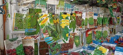 Насіння, ціна, вартість, продавець, покупець, ринок, Житомир Насіння, ціна, вартість, продавець, покупець, ринок, Житомир