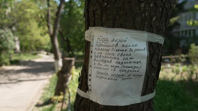У Чернігові звільнений з полону ветеран висадив дерева на честь полеглих побратимів, але частину з них украли У Чернігові звільнений з полону ветеран висадив дерева на честь полеглих побратимів, але частину з них украли