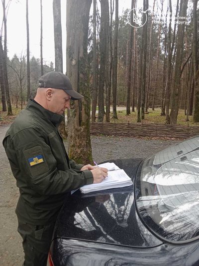 Червонокнижний лось загинув у ДТП на Рівненщині