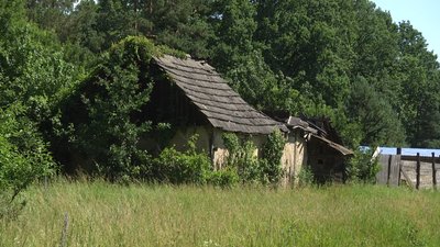 Малонаселені села Житомирщини: чому молодь виїжджає, а пенсіонери залишаються Малонаселені села Житомирщини: чому молодь виїжджає, а пенсіонери залишаються