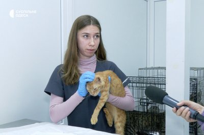 Сморід та таргани: у жительки Одеси з квартири вилучили 15 тварин Сморід та таргани: у жительки Одеси з квартири вилучили 15 тварин