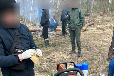 Незаконна вирубка і продаж дерев: на Житомирщині судитимуть членів організованої групи Незаконна вирубка і продаж дерев: на Житомирщині судитимуть членів організованої групи