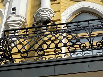 "Гуляє" на балконі колишнього готелю — у Черкасах з'явився ще один бронзовий кіт "Гуляє" на балконі колишнього готелю — у Черкасах з'явився ще один бронзовий кіт