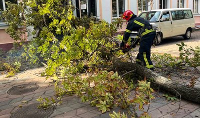 Повалені дерева на дорогах та автошляхах: на Хмельниччині рятувальники ліквідували наслідки негоди Повалені дерева на дорогах та автошляхах: на Хмельниччині рятувальники ліквідували наслідки негоди