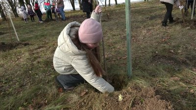 "Спільні зусилля принесуть багато плодів": як діти висаджували дерева на Рівненщині "Спільні зусилля принесуть багато плодів": як діти висаджували дерева на Рівненщині