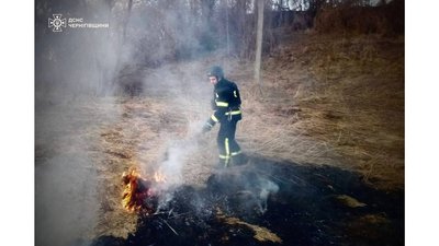 Пожежа через обстріл на Чернігівщині: загорілися понад два гектари сухої рослинності Пожежа через обстріл на Чернігівщині: загорілися понад два гектари сухої рослинності