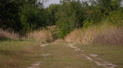 скільки дніпру