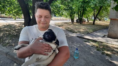 Спека на Кіровоградщині: як допомогти тваринам пережити спекотні дні Спека на Кіровоградщині: як допомогти тваринам пережити спекотні дні