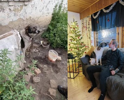 "Вважаю своєю місією в житті допомагати тваринам": історія волонтерки з Хмельницького