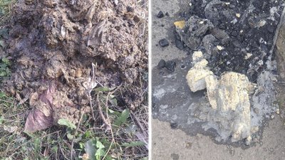 У Житомир утворилися черги із заявок на прочищення каналізаційних мереж — що сталося